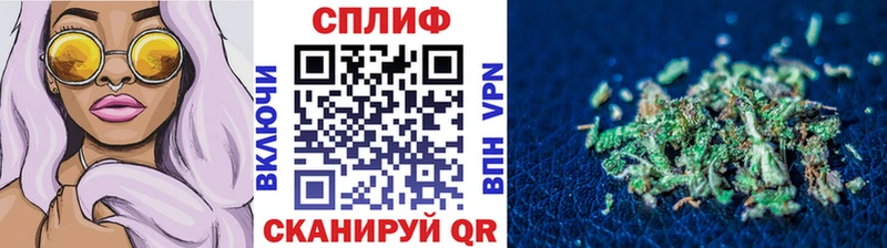 ГАШ Гусиноозёрск
